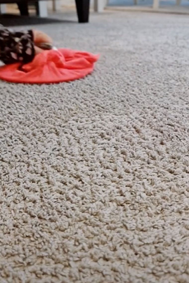 Video viral Foto: TikTok