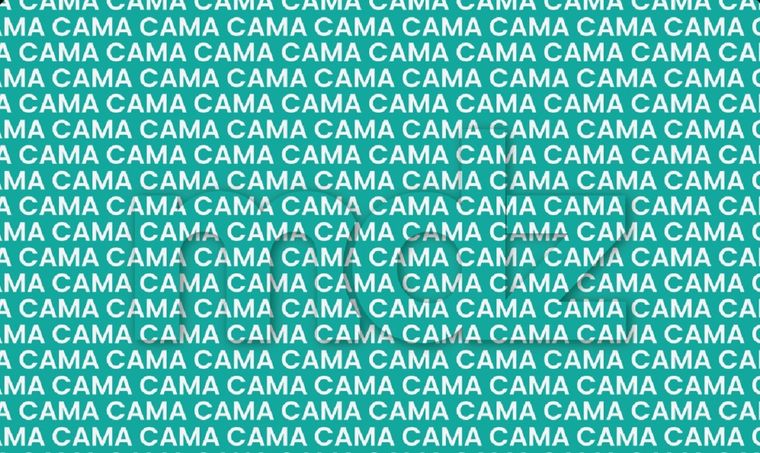 En personas mayores, este tipo de ejercicios se recomiendan como parte de rutinas preventivas para mantener activa la mente Foto: Archivo MDZ