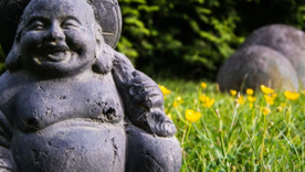 El Feng Shui, es una práctica que implica organizar el espacio vital para crear un equilibrio con el mundo natural y provee energía Foto: Foto: Freepik