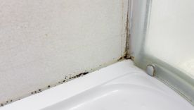 Adiós al moho en el baño. Fuente: Shuttterstock.