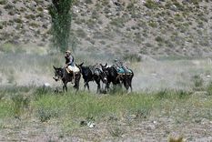 Foto: ALF PONCE MERCADO / MDZ