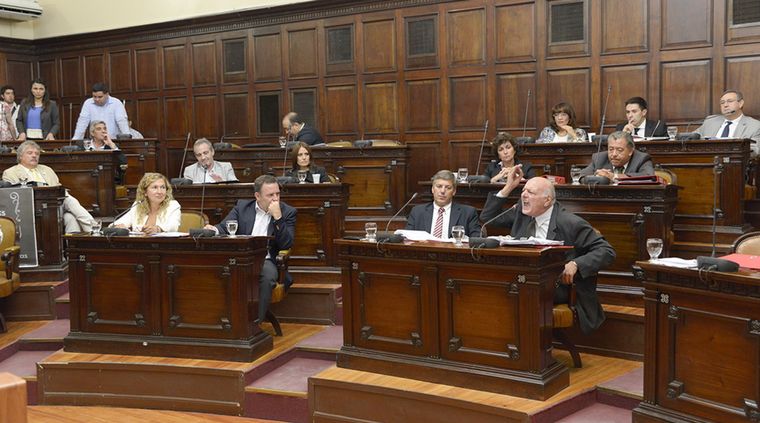 Foto: Gentileza prensa Senado