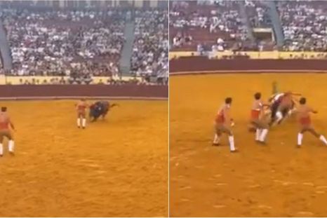 Manuel María Trindade, de 22 años, falleció tras ser embestido por un toro de 685 kilos durante su primera corrida en el histórico recinto de Lisboa.