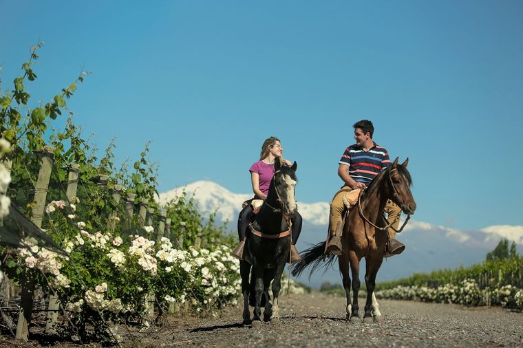 Foto: Turismo Tupungato