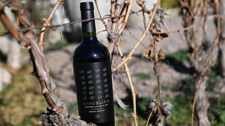 La familia Bonfanti es la promotora del proyecto Carcelino, desarrollado en los viñedos de la Penitenciaría Federal Argentina en Mendoza. El proyecto cuyo producto final es un vino, fusiona inclusión social y producción vitivinícola.&nbsp;