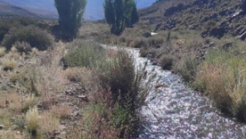Arroyo El Tigre que atraviesa el Proyecto San Jorge.