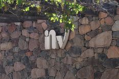 El Instituto Nacional de Vitivinicultura (INV) es uno de los organismos descentralizados que están en la mira de la motosierra de Milei. Foto: ALF PONCE MERCADO / MDZ
