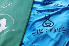 ive: ¿por que hay senadores que pasan de celestes a verdes? ive: ¿por que hay senadores que pasan de celestes a verdes?