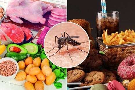 Qué alimentos debes consumir y cuáles no si tienes dengue (MDZ / Shutterstock).