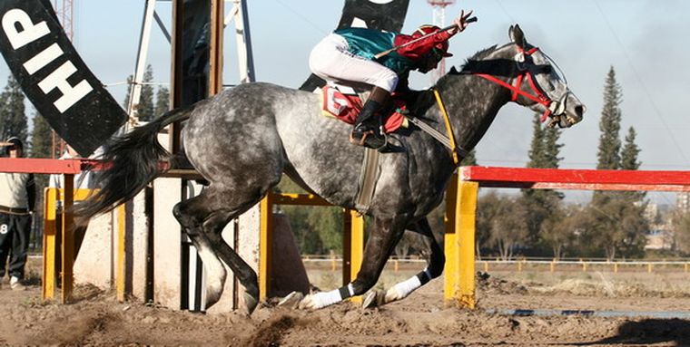 Galope y triunfo. Dos palabras que muchos quieren conjugar. Foto: NACHO GAFFURI