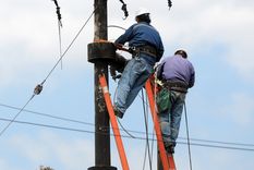 Estos son los cortes de hoy. Foto: ALF PONCE MERCADO / MDZ