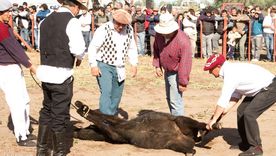 La Sociedad Rural propuso un plan para Mendoza. La Sociedad Rural propuso un plan para Mendoza.