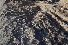 Así quedaron los vehículos tras el accidente