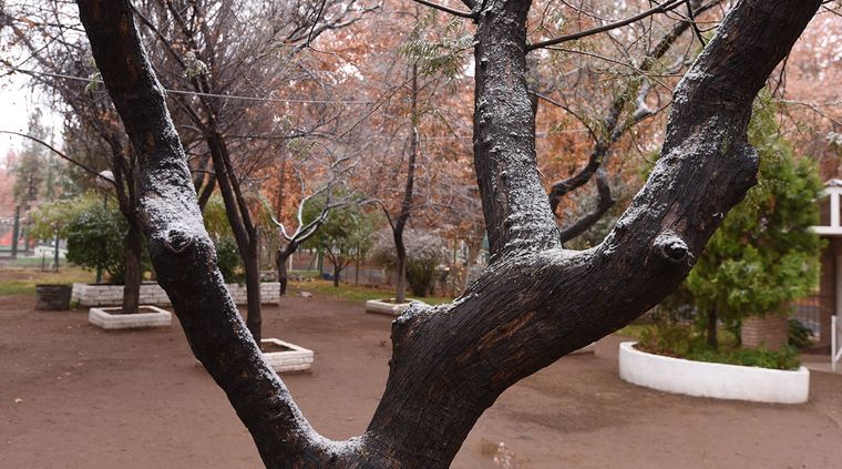 Foto: Alf Ponce / MDZ