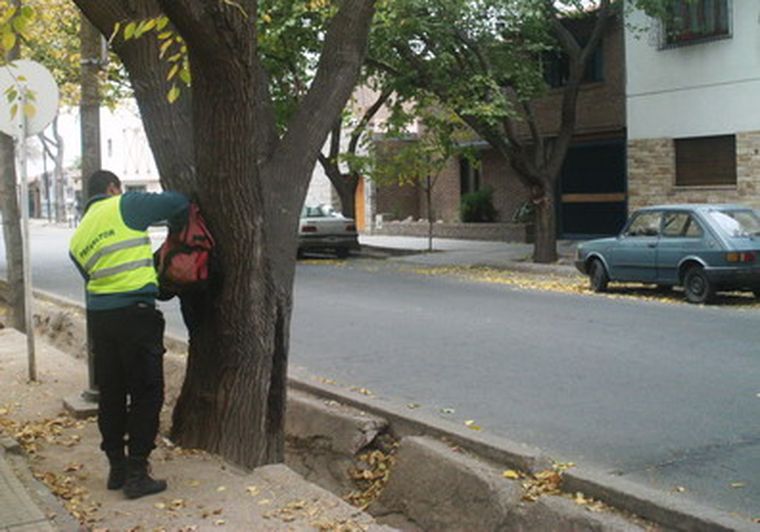 El preventor tiene sus pertenencias colgadas en un árbol. Foto: MDZ