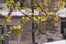 Violencia en Las Heras Foto: captura de video (gentileza Marcelo Ortiz) Violencia en Las Heras Foto: captura de video (gentileza Marcelo Ortiz)