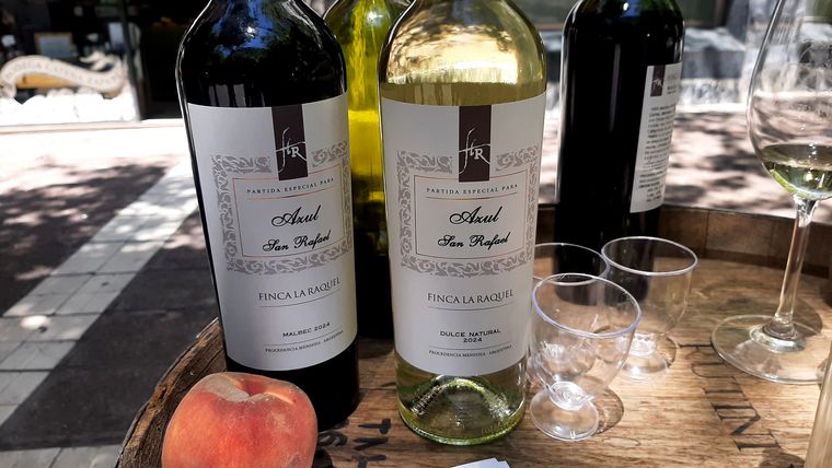 Alpataco y Finca La Raquel apostaron por vinos personalizados. Alpataco y Finca La Raquel apostaron por vinos personalizados.