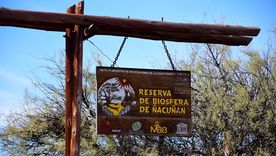 Con un spot cinematográfico, Santa Rosa presentó el Desafío Ñacuñán Terra Trail 2025