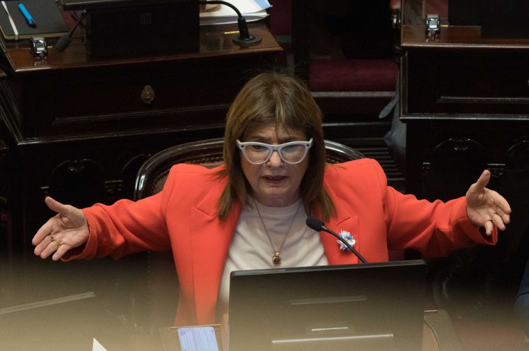 La líder del bloque de senadores libertarios, Patricia Bullrich.