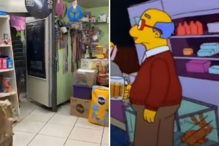 ¡Infracción! Cuando la Policía llegó al lugar, se encontró con una sorpresa.