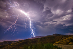 faltan profesionales en un area clave y ofrecen becas: como acceder