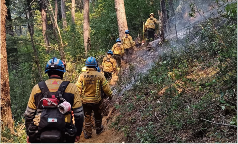 En El Bolsón, aún hay dos focos de incendio Foto: X