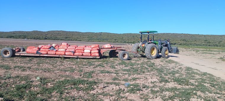La víctima murió aplastado por un tractor mientras cargaba bolsas de ajo a un acomplado.&nbsp;