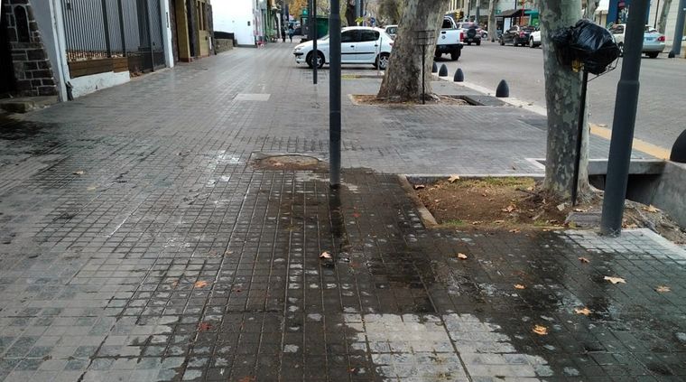 Foto: ALF PONCE / MDZ