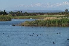 La Laguna de la Paloma podría verse afectada de manera negativa por la instalación de la obra cloacal.