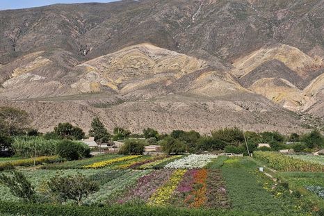 Paisajes sagrados y cultura viva: así es Maimará, en plena Quebrada de Humahuaca. Foto: Gobierno Argentino