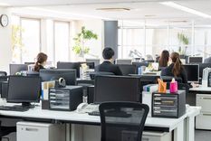 Los trabajos que la IA hará desaparecer progresivamente. Los trabajos que la IA hará desaparecer progresivamente.