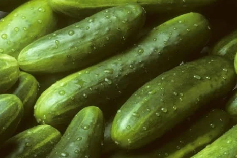 Pepinos