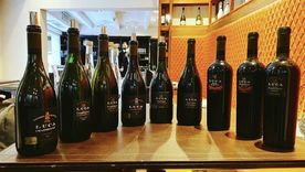 Una imagen de los vinos degustados. Foto: Gentileza