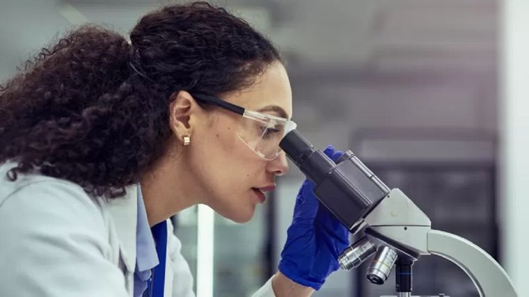 La biología evolutiva está avanzando para entender cómo funciona el pricipio de evolución en nuestro organismo. Foto: GETTY