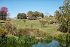 Cordóba tiene hermosos espacios verdes para visitar en primavera Foto: Jardín Botánico de Córdoba