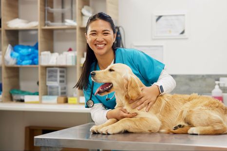Los nuevos collares de Satellai fueron presentados en el CES 2026. Los nuevos collares de Satellai fueron presentados en el CES 2026.