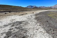La sequía que azota a la provincia desde hace más de 10 años genera grandes pérdidas ambientales. Foto: Andrea Ginestar