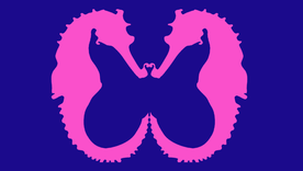 test de personalidad test de personalidad