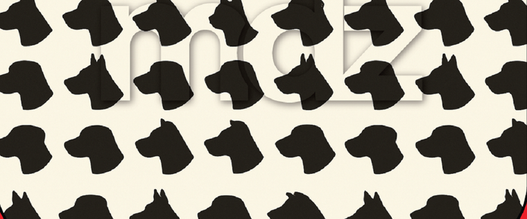 El éxito del reto del gato escondido demuestra que lo simple, cuando apela a la agudeza mental, puede ser sumamente magnífico. Foto: Archivo MDZ