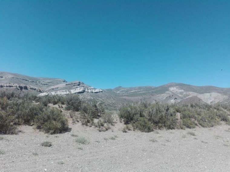 Foto: Gentileza