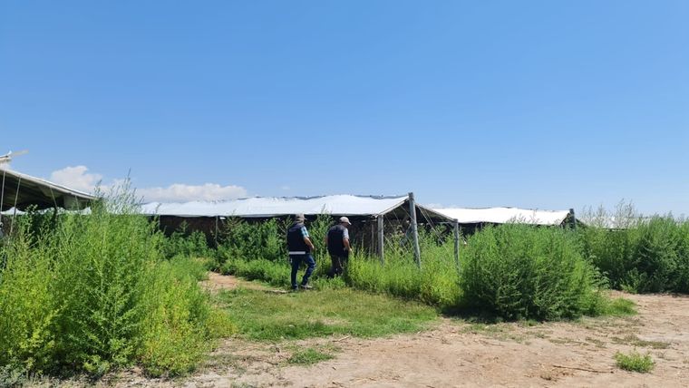 Mercadería decomisada Foto: AFIP