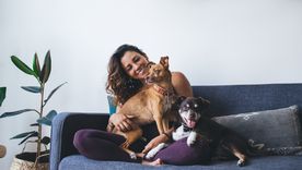 GlocalME lanza un teléfono para mantenerte comunicado con tus mascotas. GlocalME lanza un teléfono para mantenerte comunicado con tus mascotas.