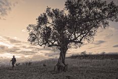 cuando caminar es mas que mover los pies