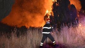 La ola de calor del Mediterráneo provoca la propagación de incendios forestales en casi todo el sur de Italia. Foto: REUTERS