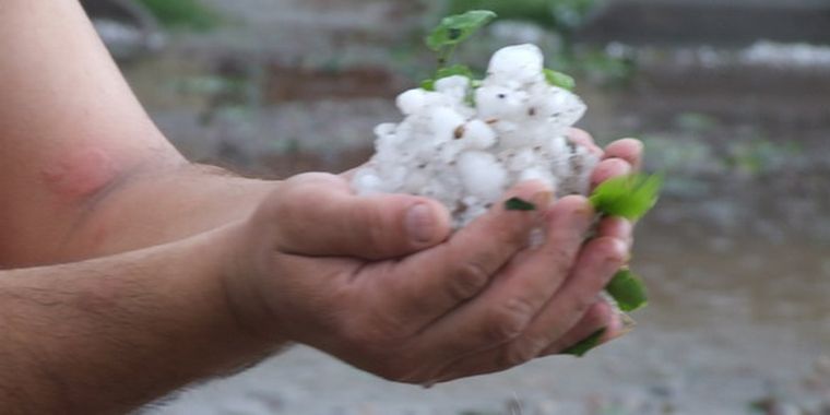 Foto: infoalvear.com