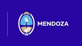 MINISTERIO DE SALUD Y DEPORTES: LLAMADO A LICITACIÓN PUBLICA