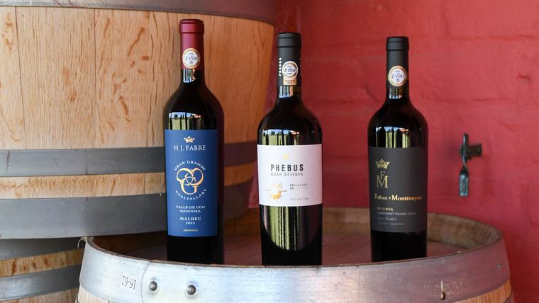 Al centro, Phebus Gran Reserva Malbec, de bodega Fabre Montmanyou, elegido como el mejor Malbec del mundo. Al centro, Phebus Gran Reserva Malbec, de bodega Fabre Montmanyou, elegido como el mejor Malbec del mundo.