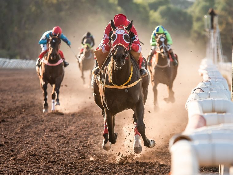 El Hipódromo de Mendoza es una referencia para la provincia. Foto: Foto gentileza José Maluf