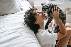 Gatos Ten en cuenta estas recomendaciones para evitar que te rasguñen Foto: Pexels