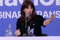 Cristina Kirchner criticó el acuerdo de Milei con el FMI Foto: EFE Cristina Kirchner criticó el acuerdo de Milei con el FMI Foto: EFE